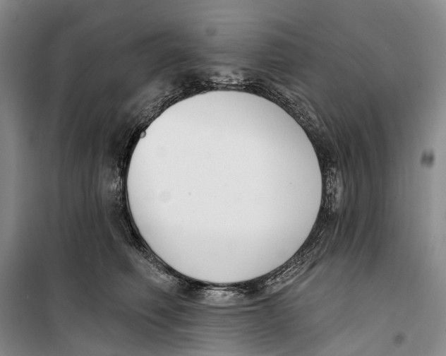 X0000099440614200805301452