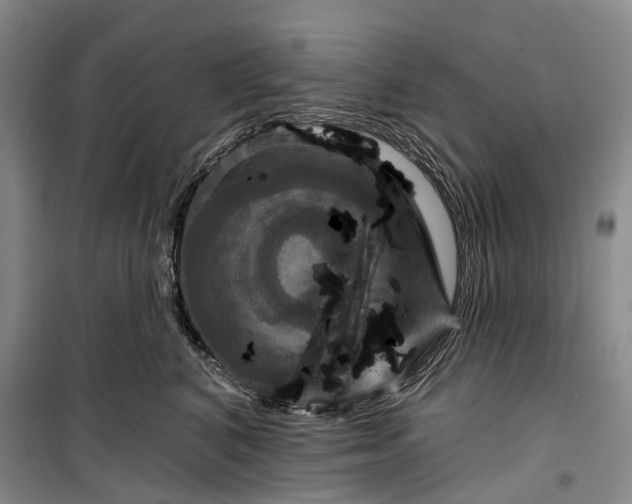 X0000099440616200805301452