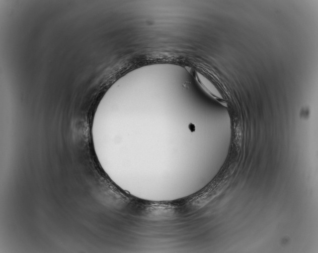 X0000099440617200805301452