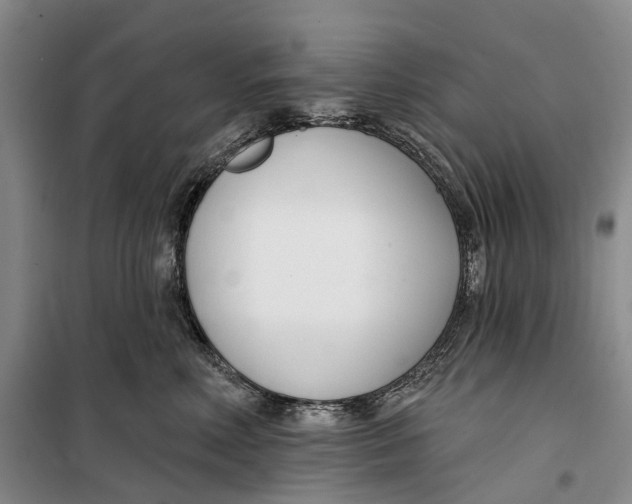 X0000099440618200805301452