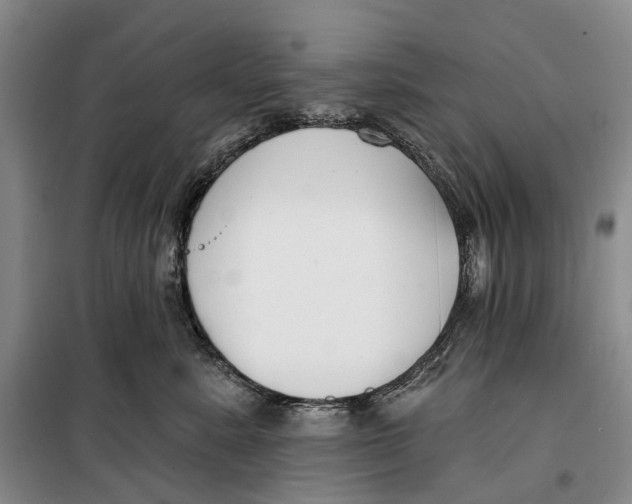 X0000099440619200805301452