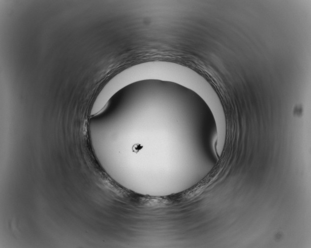 X0000099440621200805301452