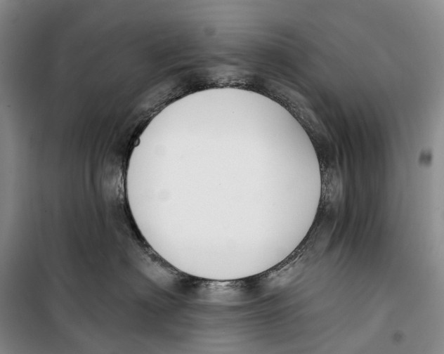 X0000099440622200805301452