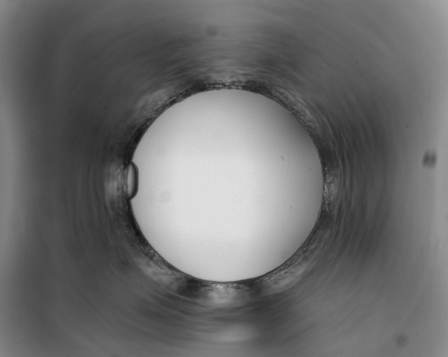 X0000099440623200805301452