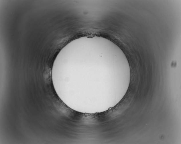 X0000099440624200805301452