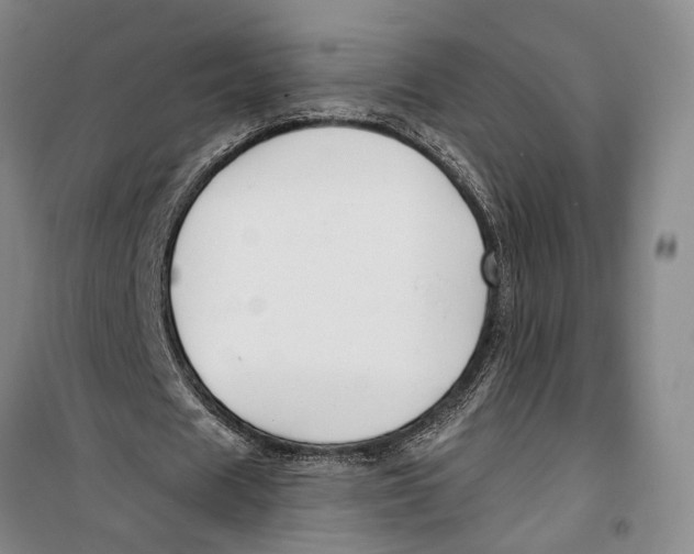 X0000099440625200805301451