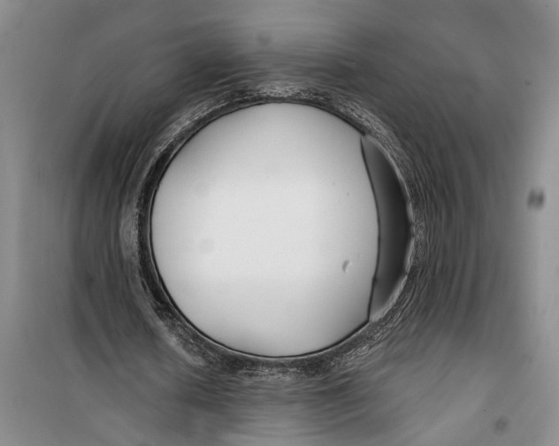 X0000099440626200805301451