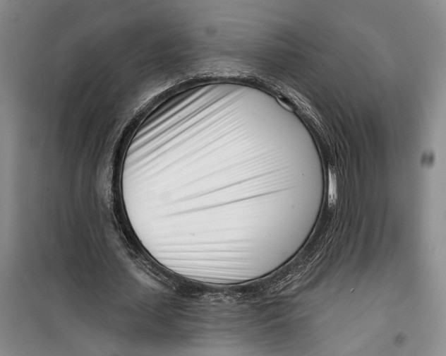 X0000099440627200805301451