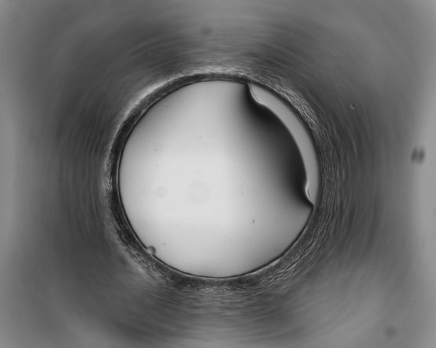 X0000099440628200805301451