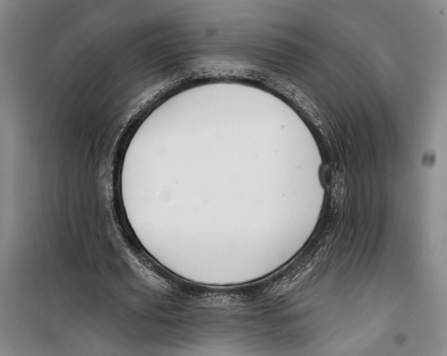 X0000099440629200805301451