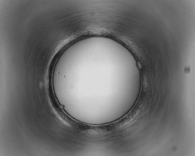 X0000099440630200805301451