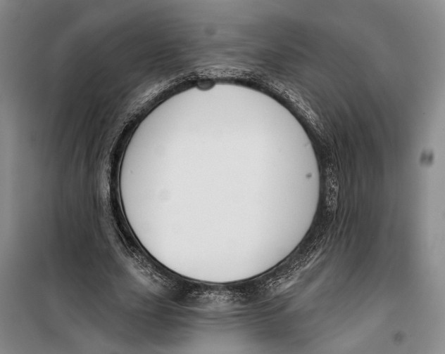 X0000099440631200805301451