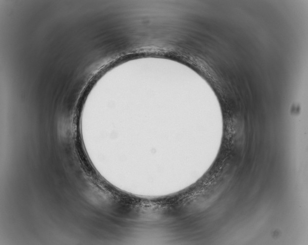 X0000099440632200805301451