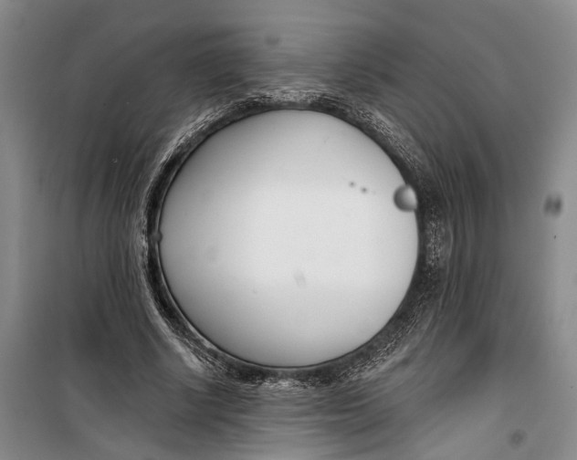 X0000099440634200805301451