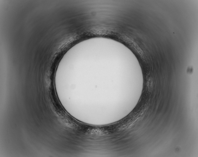 X0000099440635200805301452