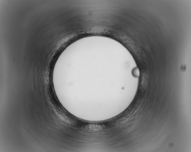 X0000099440636200805301452