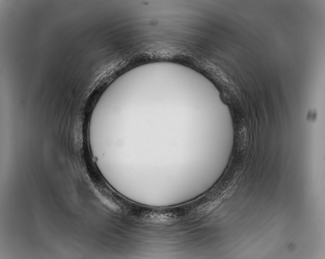 X0000099440638200805301452