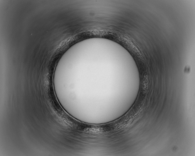 X0000099440639200805301452