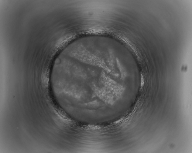 X0000099440640200805301452