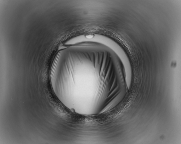 X0000099440641200805301452