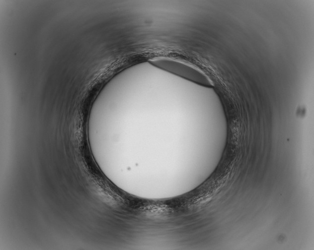 X0000099440642200805301452