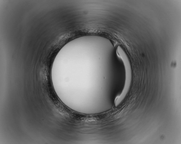 X0000099440643200805301452