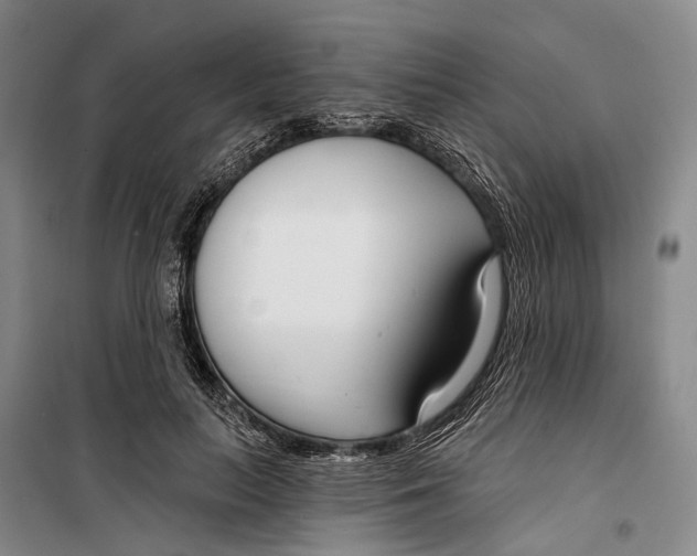 X0000099440647200805301452