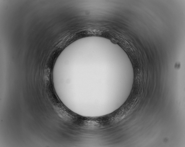 X0000099440649200805301452