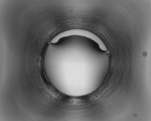 X0000099440650200805301452