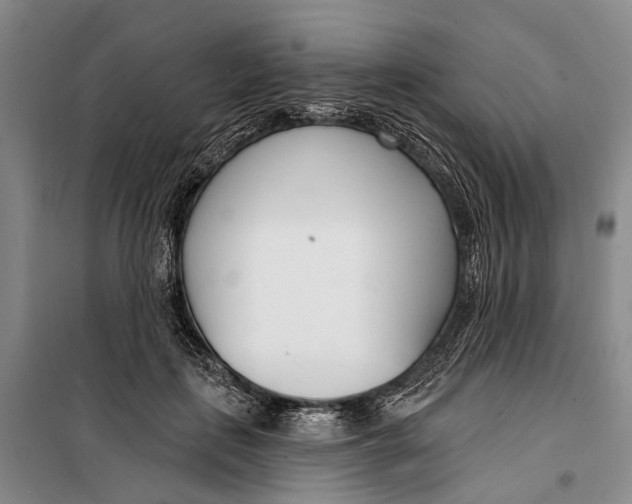 X0000099440651200805301452