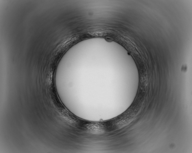 X0000099440652200805301452