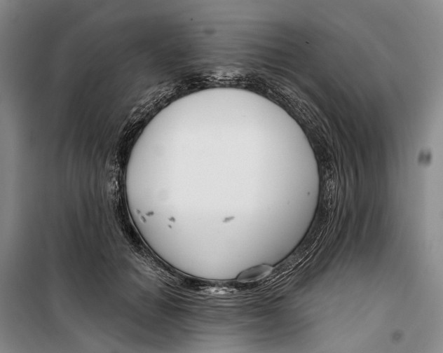 X0000099440654200805301452