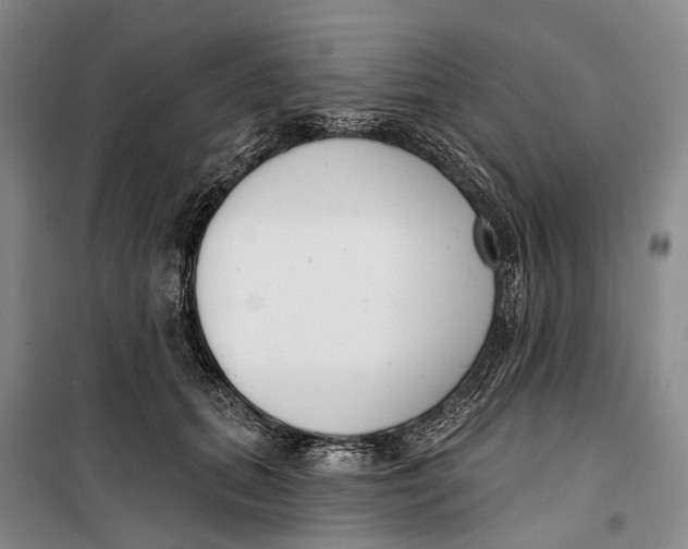 X0000099440655200805301452