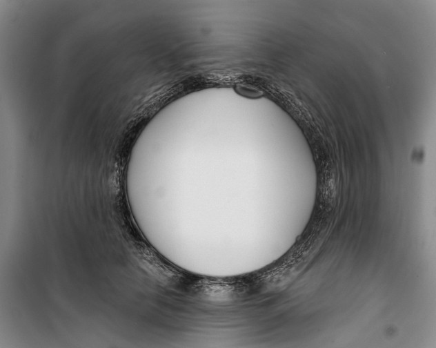 X0000099440658200805301452