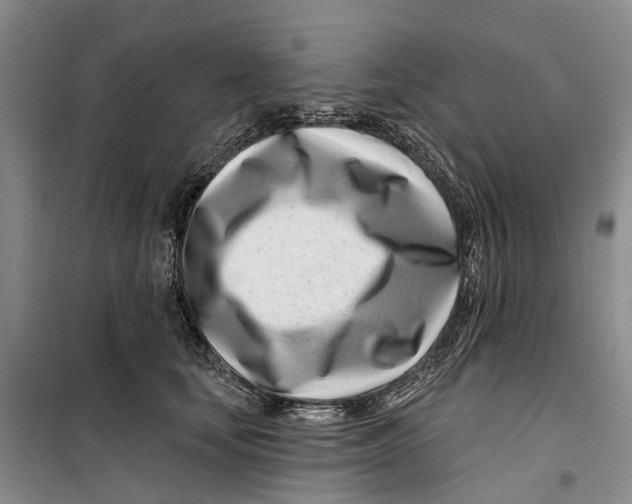 X0000099440659200805301452