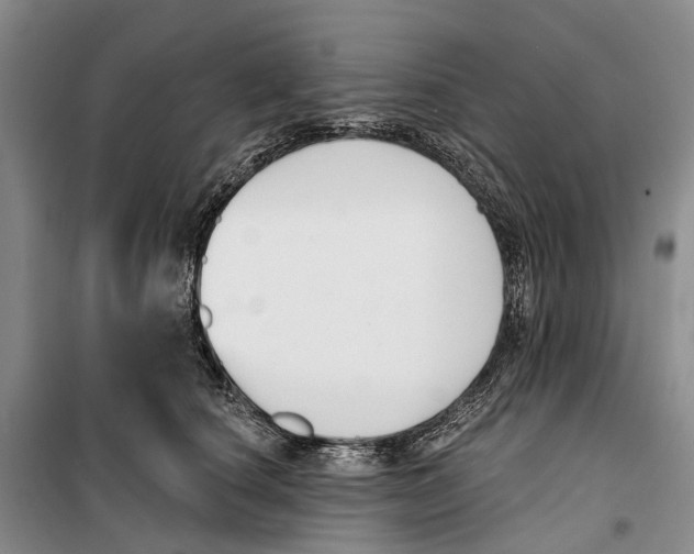 X0000099440660200805301452