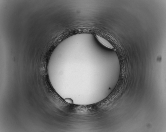 X0000099440661200805301452