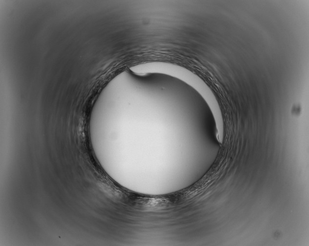 X0000099440663200805301452