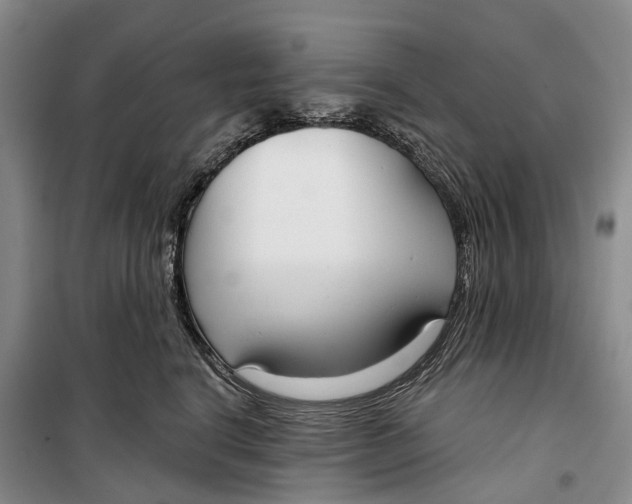 X0000099440664200805301452