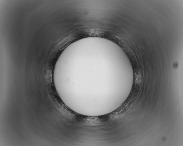 X0000099440666200805301452