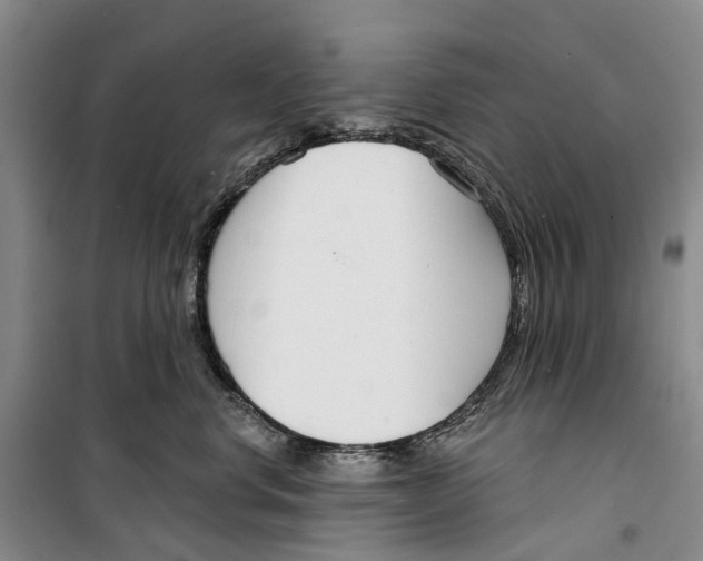 X0000099440668200805301452