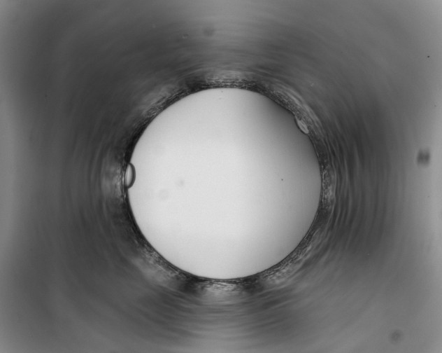 X0000099440669200805301452