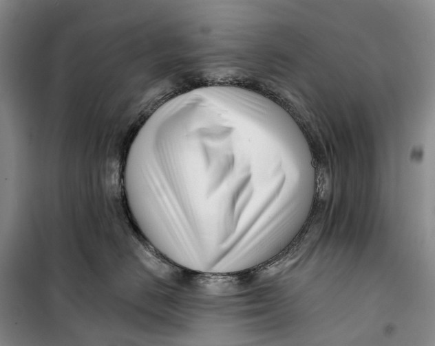 X0000099440670200805301452