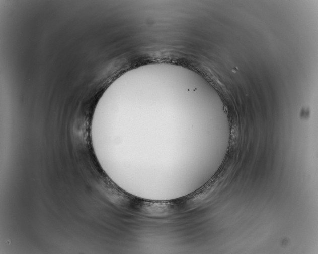 X0000099440671200805301452