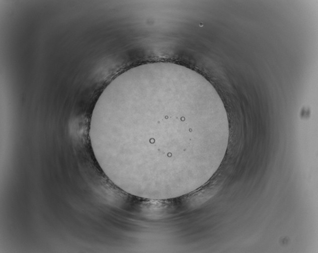 X0000099440672200805301452