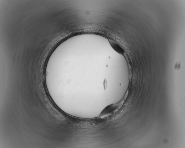 X0000099440673200805301451