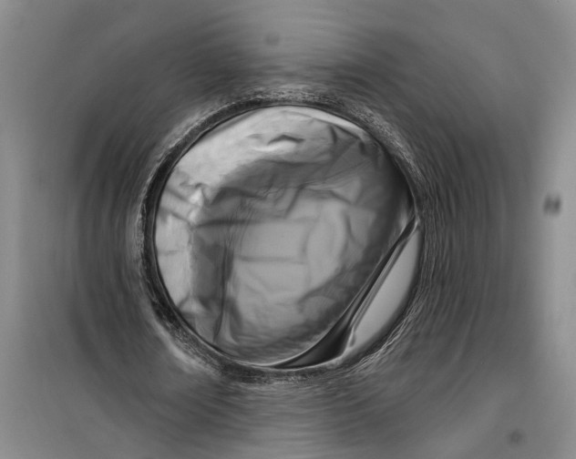 X0000099440674200805301451