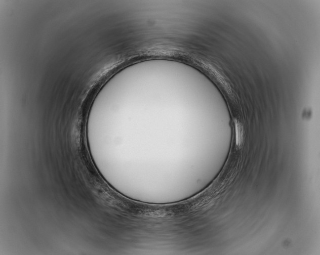 X0000099440675200805301451