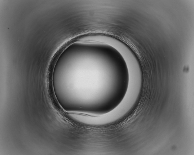 X0000099440676200805301451