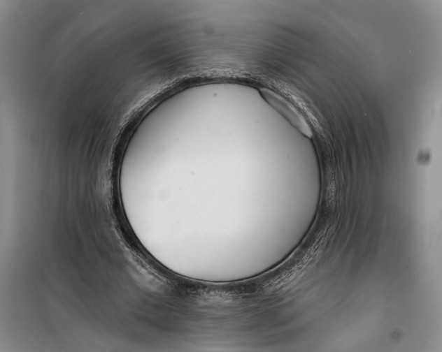 X0000099440677200805301451